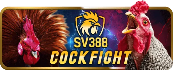 Cá cược bóng đá U11uu